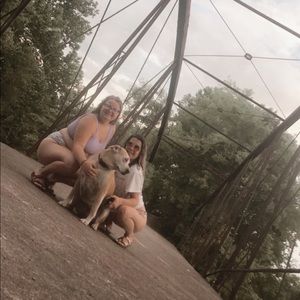 Meet your Posher, Taylor